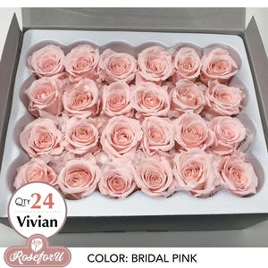 Bridal Pink Qty 24 Vivian Rose Preserved rose Pink preserved flower home decor pink theme wedding decor Floral arrangement bridal shower