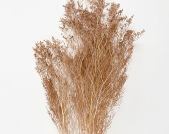 May include: A bunch of dried brown branches with delicate, feathery foliage. The branches are arranged in a fan shape, creating a natural and rustic look.