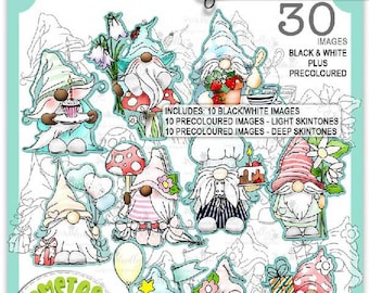 Cute Gnome Birthday Celebrations BIG value bundle - Cute Digital Stamp printable clipart for cards, cardmaking, craft stickers