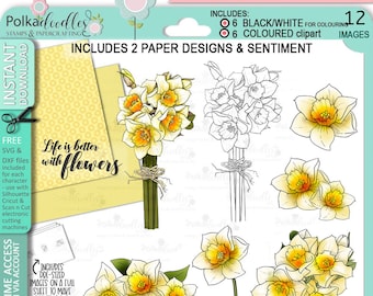 Flowers & Blooms Daffodil bundle - 12 Digital Stamps, papers, sentiment, SVG files printable clipart for cards, cardmaking, craft, stickers