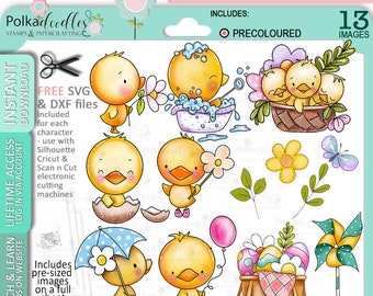 Easter/Spring Chicks Big bundle - 10 images. COLORED Cute Digital Stamp printable clipart for cards, cardmaking, craft, stickers