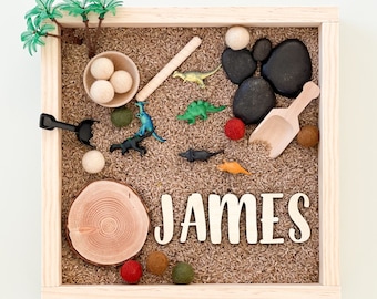 Personalized Dinosaur Sensory Kit: Montessori Play with Rice Tray