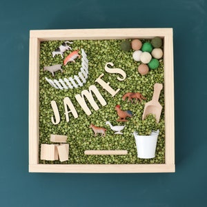 Personalized Farm Sensory Kit: Montessori Play with Organic Split Pea Filler