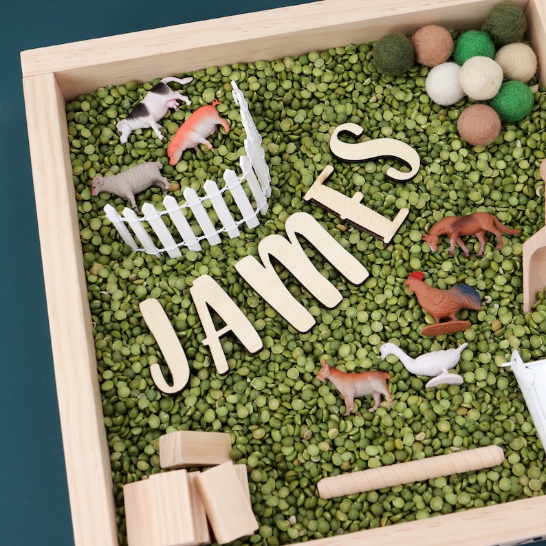 personalized sensory tray Barn sensory kit Farm sensory kit Kids Sensory Kit personalized sensory rice kit montessori play kit