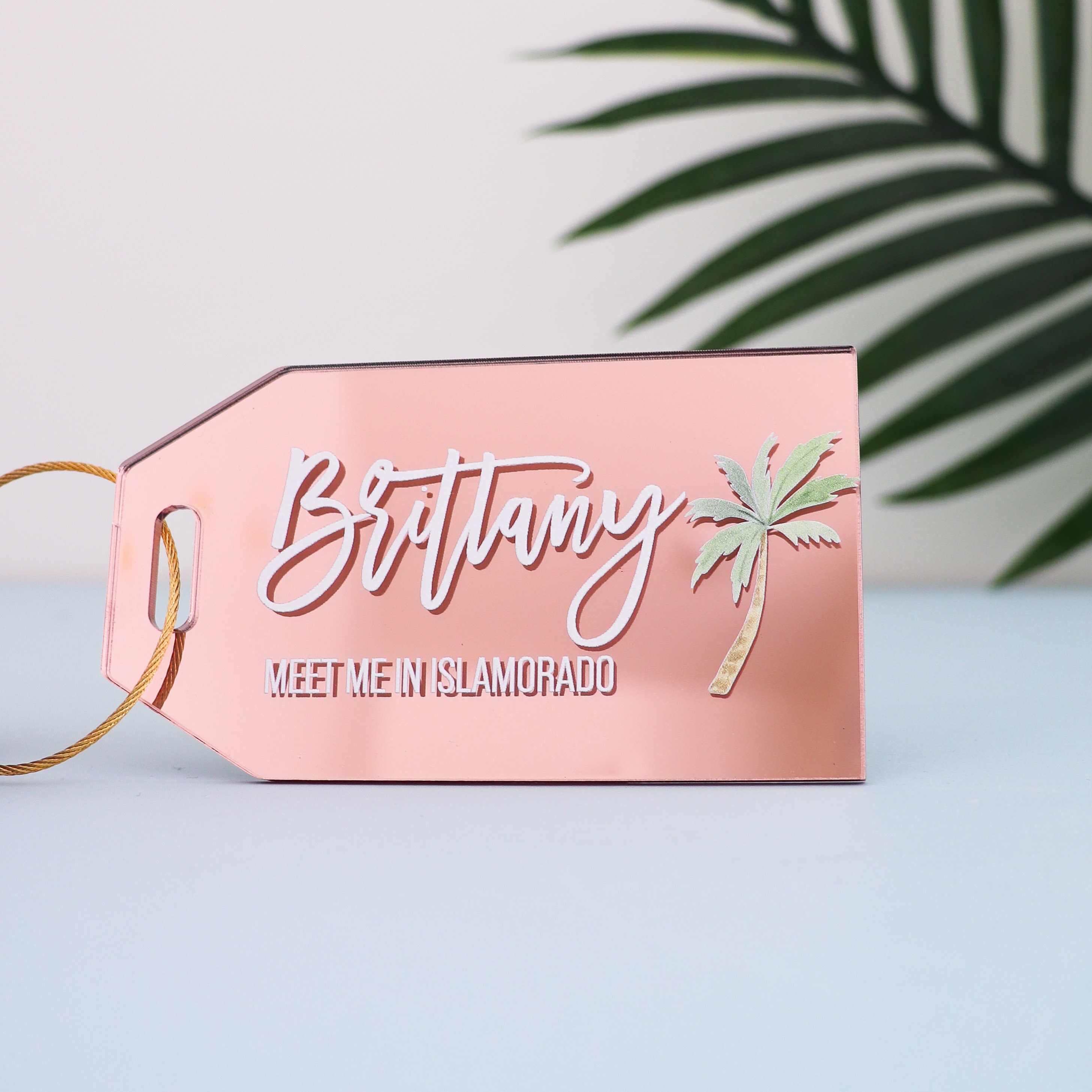 Acrylic Luggage Tag
