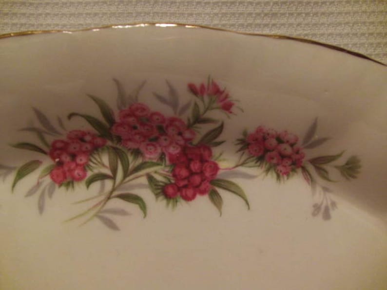 Vintage Paragon Bone China Potters Her Majesty The Queen England Oval Dish Pink Floral Sweet William Blooms