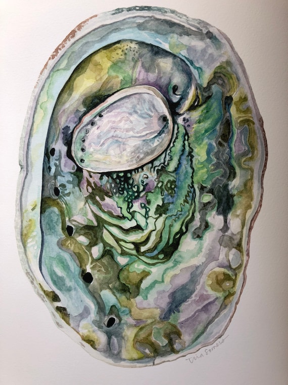 ABALONE SHELLS || Watercolor Shell Print || Iridescent Abalone Art ...
