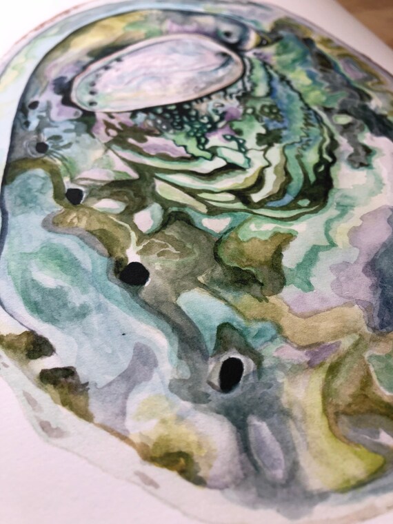 ABALONE SHELLS || Watercolor Shell Print || Iridescent Abalone Art ...