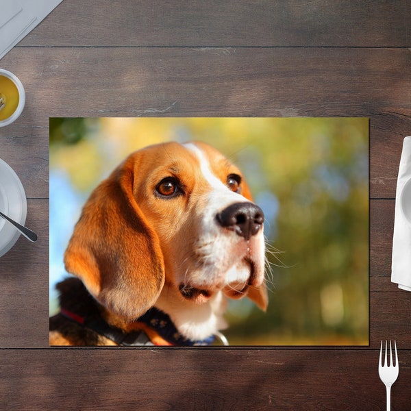 Set de table plastifié chien Beagle