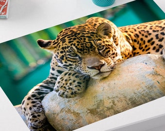 Laminated Placemat Jaguar A3 Size Washable Table Decor