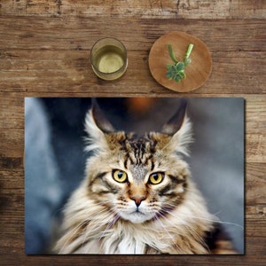 Plastic placemat tabby cat image 1