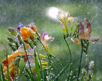 Plastic placemat flowers in the rain