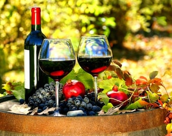Wine Lover’s plastic Placemat A3 Size Washable Table Decor