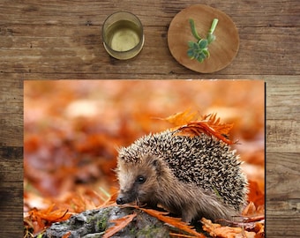 Laminated Placemat Hedgehog A3 Size Washable Table Decor