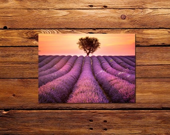 Laminated Placemat Vibrant Lavender field  A3 Size Washable Table Decor