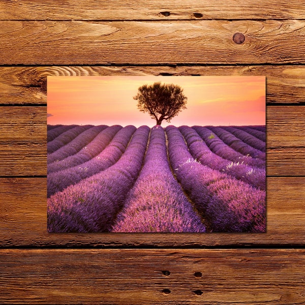 Laminated Placemat Vibrant Lavender field  A3 Size Washable Table Decor