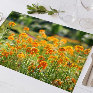 Set de table plastifié champ de fleurs orange image 6