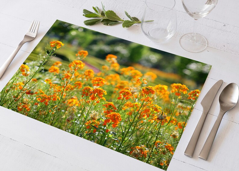 Set de table plastifié champ de fleurs orange image 6