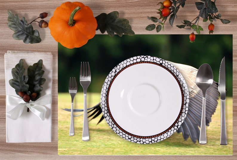 Set de table plastifié vautour fauve | Etsy