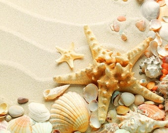 Plastic placemat starfish and shells on the sand