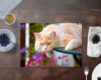 Laminated Placemat Lying Cat A3 Size Washable Table Decor