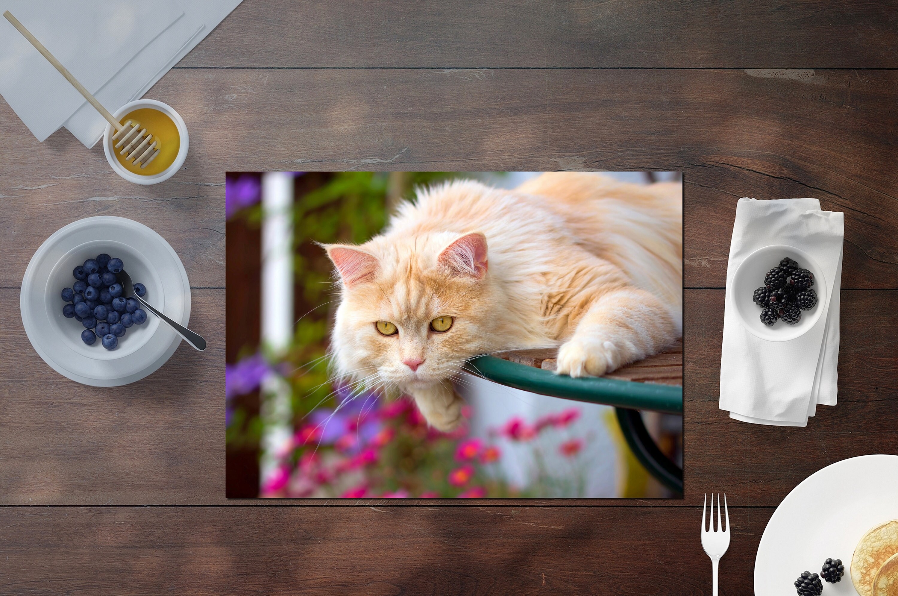 2er Tischset Filz Katze, schwarz/anthrazit, Tischunterlage