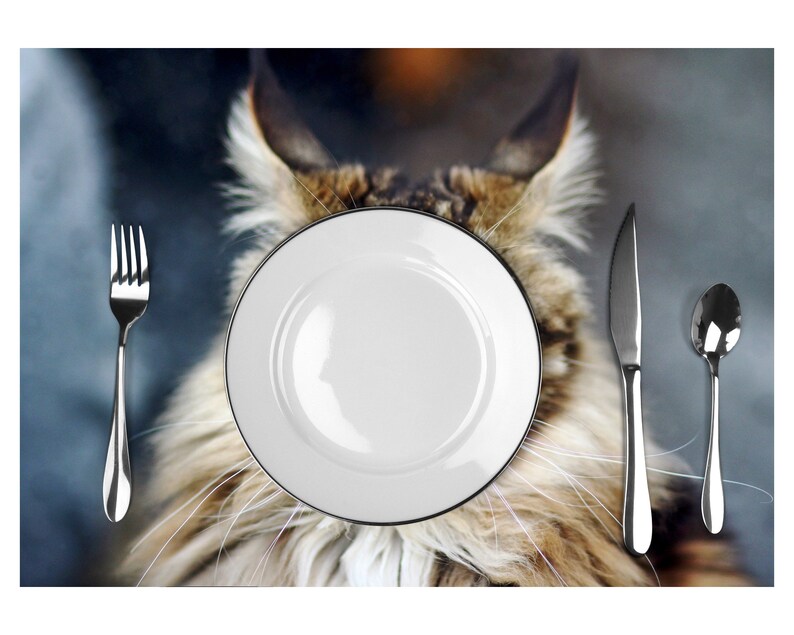 Plastic placemat tabby cat image 5