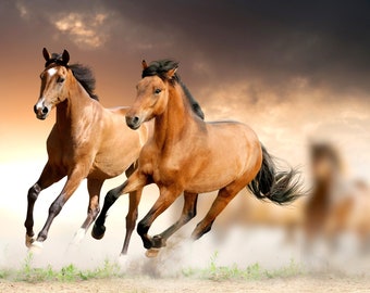 Plastic placemat wild horses