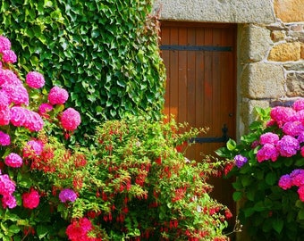 Plastic placemat hortensia and fushia