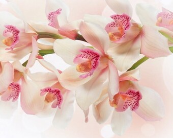 Plastic placemat pink orchid
