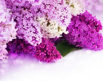 Set de table plastifié bouquet de lilas