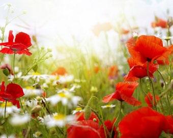 Plastic placemat daisies and poppies