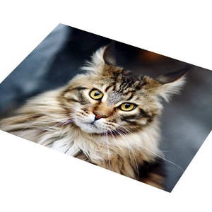 Plastic placemat tabby cat image 3