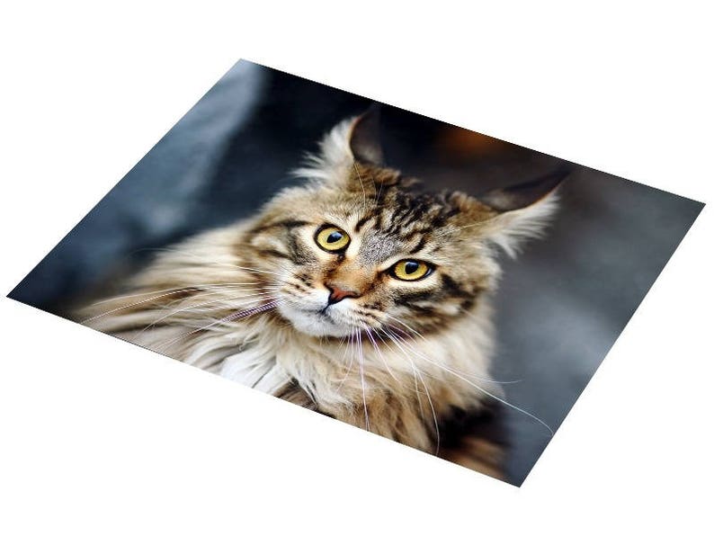 Plastic placemat tabby cat image 3