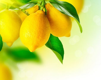 Laminated placemat lemons