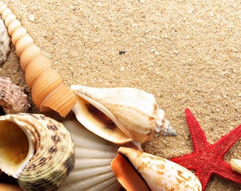 Plastic placemat seashells on the beach