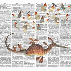 Illustrazione vintage tovaglietta laminata numero 14