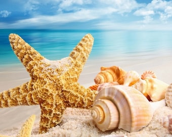 Plastic placemat starfish on the beach