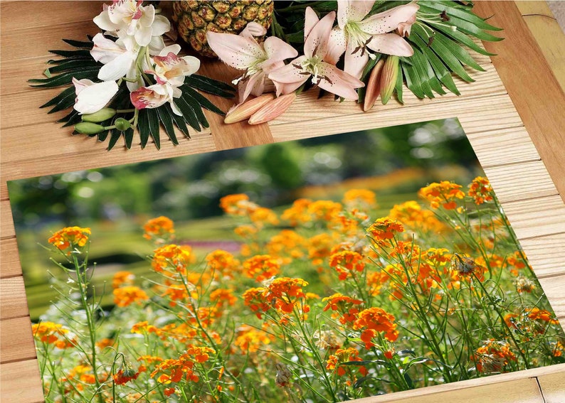 Set de table plastifié champ de fleurs orange image 4