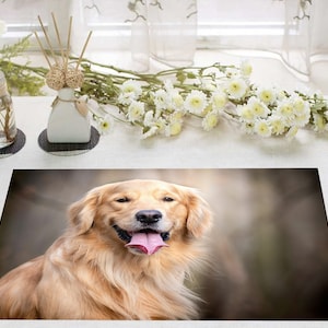Laminated Placemat Golden Retriever Dog dog A3 Size Washable Table Decor