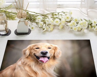 Laminated Placemat Golden Retriever Dog dog A3 Size Washable Table Decor