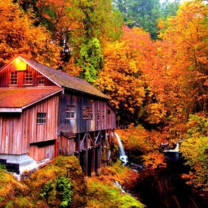 Peut inclure: Un moulin à eau en bois avec un toit rouge est niché dans une forêt de feuillage d'automne vibrant. Le moulin est partiellement caché par les arbres, avec une petite cascade descendant la colline derrière lui.