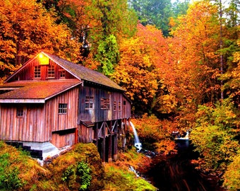 Laminated placemat autumn in Canada