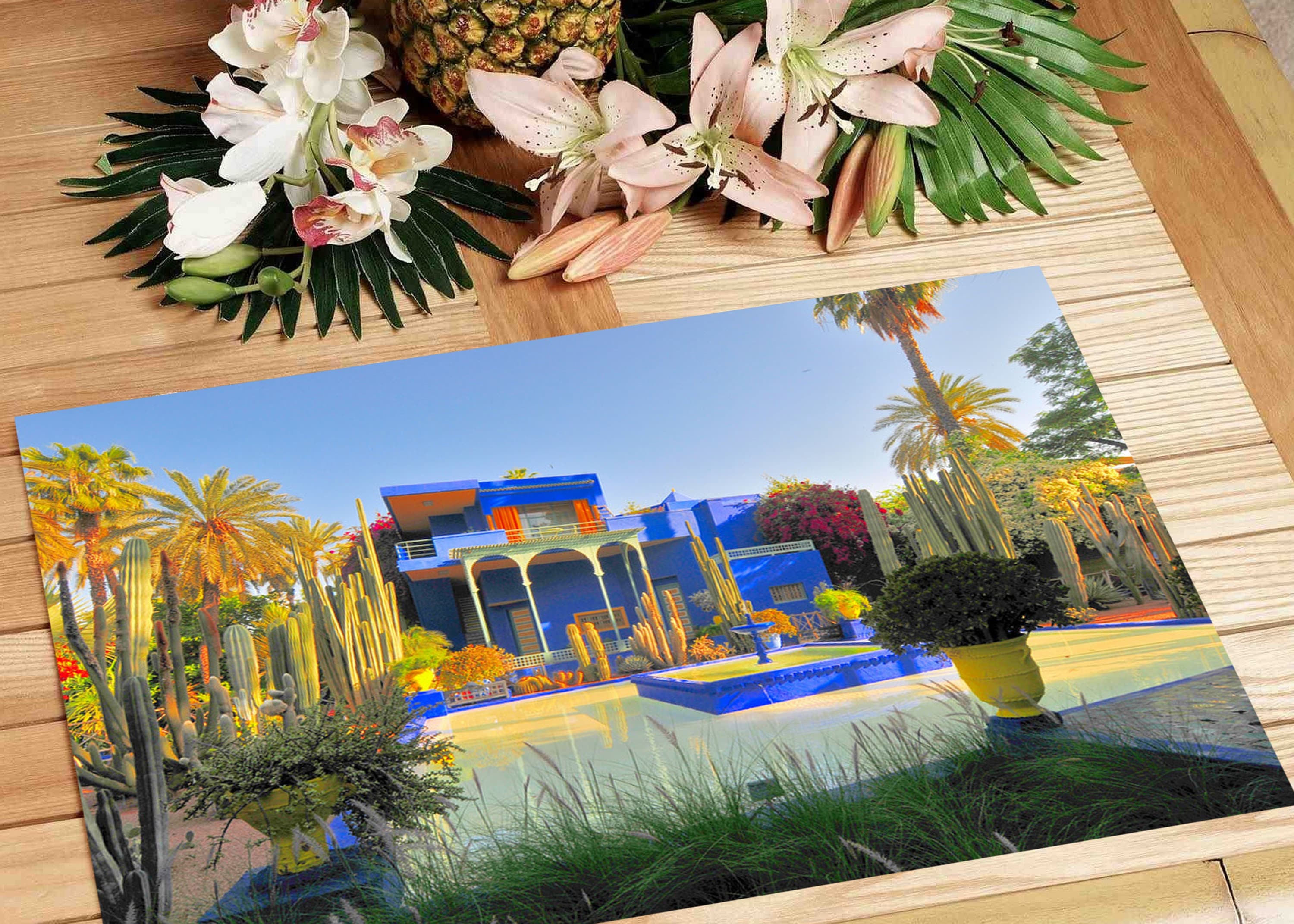 gallery photo