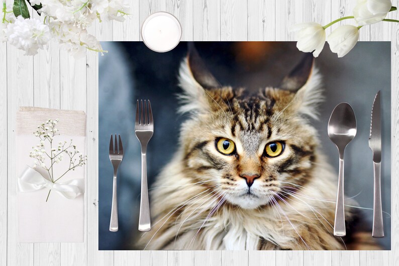 Plastic placemat tabby cat image 4