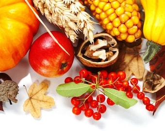 Laminated placemat autumnal treats