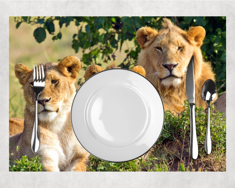Set de table plastifié famille de lions numéro 2 image 3