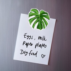 Monstera Magnet, Monstera Leaf, Vinyl Magnet for Car, Magnet for Locker, Plant Person, Plant Mom Gift, Plant Daddy Gift, Plant Addict Gift