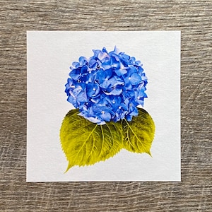 Mini Art Print, 4x4 Hydrangea Art Print, Flower Art Print, Gift for Flower Lover, Spring Flower Decor, Flower Art Print, Blue Flower Print