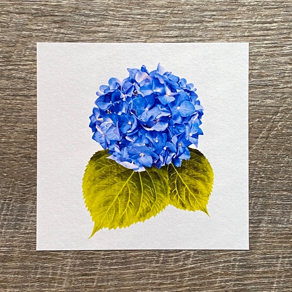 Mini Art Print, 4x4 Hydrangea Art Print, Flower Art Print, Gift for Flower Lover, Spring Flower Decor, Flower Art Print, Blue Flower Print